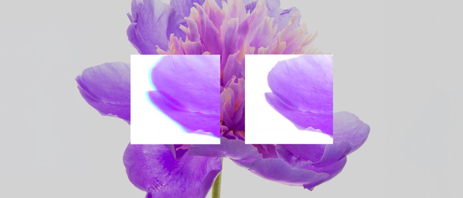 Chromatic Aberration Explained: Causes & Correction Methods 